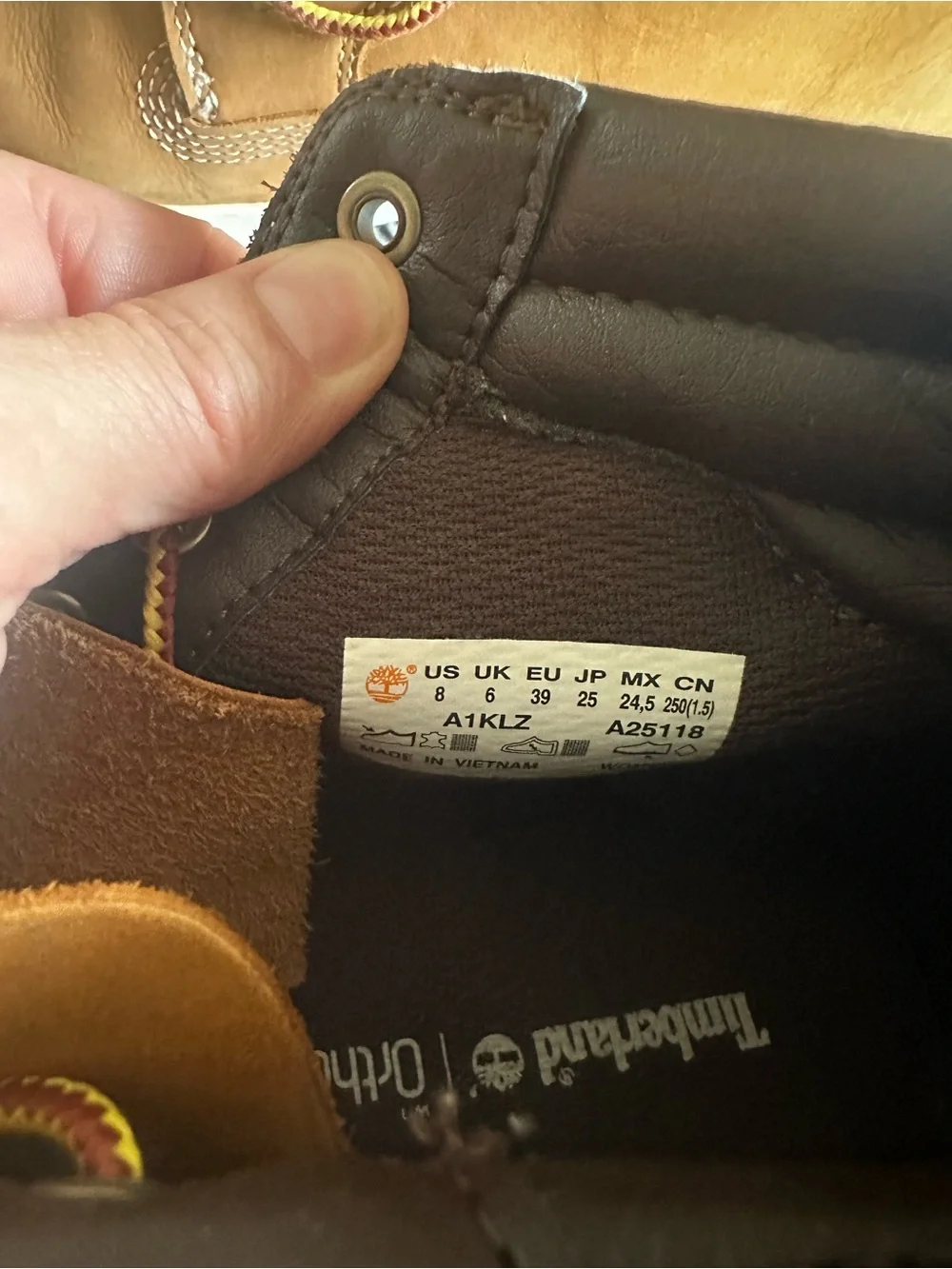 Timberland high top